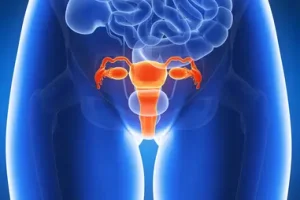 female-reproductive-health